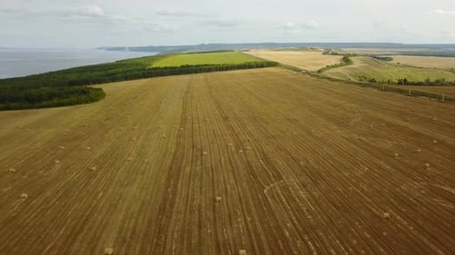 Feld mit Heuhaufen
