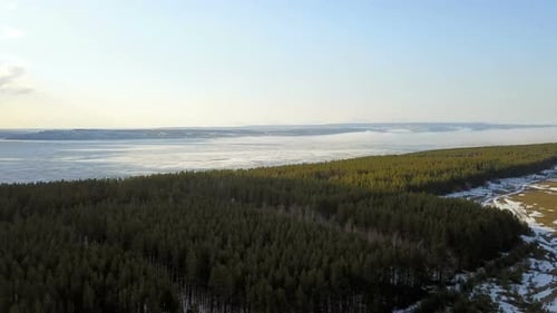 Green Forest And Frozen River