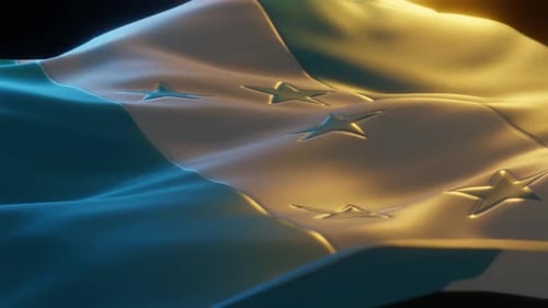 Realistic Waving National Flag Animation with Dynamic Light