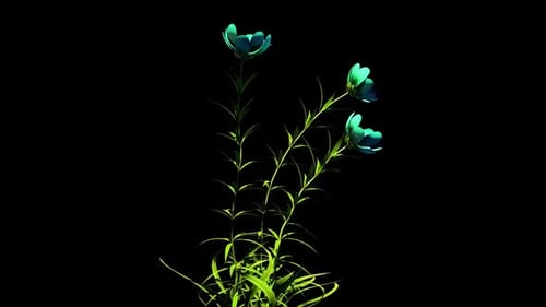 Animated Growing Plant with Blooming Blue Flowers