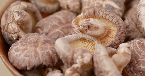 Dried Shiitake Mushrooms in a Wooden Bowl