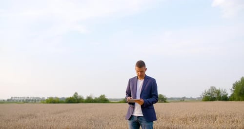 Man in Wheat Field Using Tablet