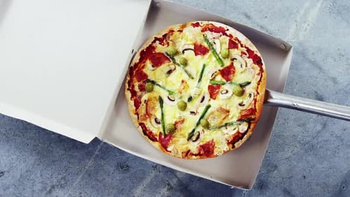 Pizza in a Box on a Spatula