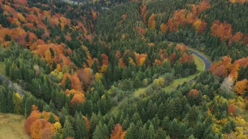 Aerial View Of Mountain Road At The Autumn Forest 9