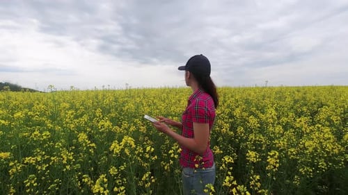 Uma jovem agricultora entra em um campo de colza e verifica a qualidade da planta.