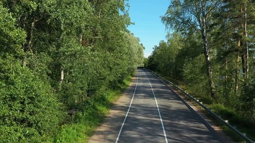 Asphalt Road with Driving Cars Through Green Summer Forest Near Lake. Aerial Shot From Drone