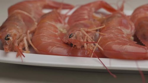 Raw Argentinian red shrimps fresh sea food on dish plate
