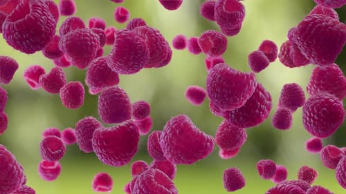 Realistic Falling Raspberries with Green Background