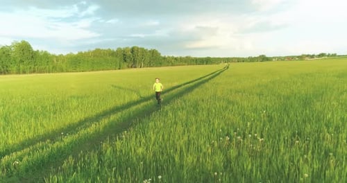Criança desportiva corre por um campo de trigo verde