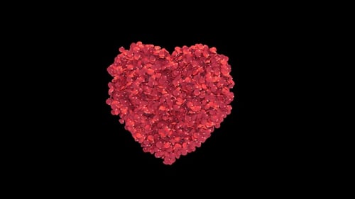 Romantic Red Rose Petals Heart Dispersion Transition