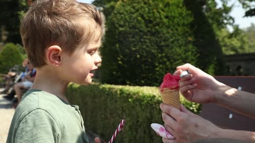 Boy Eats Ice Cream in Sunny Park