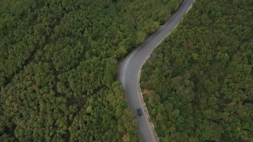 Longo caminho e floresta aérea