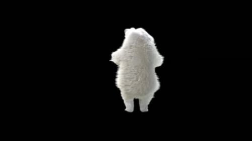 123 Ours blanc dansant 4K