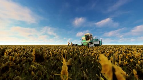 Panoramic 3D Render of Combine Harvester on a Golden Agricultural Field