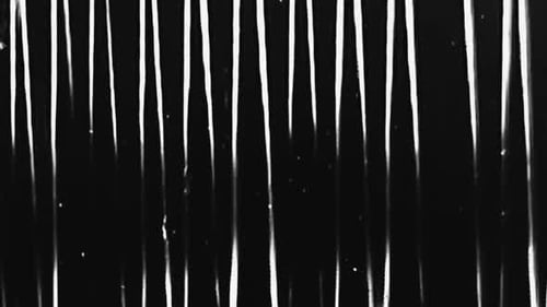 Glitch Noise Analog Distortion Overlay Black White
