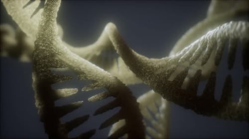 Loop Double Helical Structure of Dna Strand Closeup Animation
