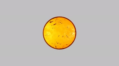 Goldener Hockey-Puck auf weißem Hintergrund.