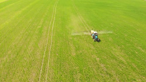 Spraying a Green Wheat Field By Tractor