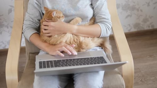 Frau in Grau Home Clothes Remote arbeitet mit Laptop und süßer Ingwerkatze auf den Knien.
Coronavirus