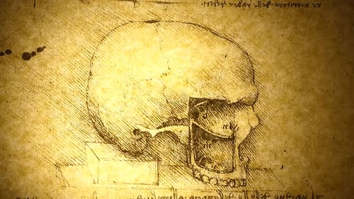 Art d'anatomie