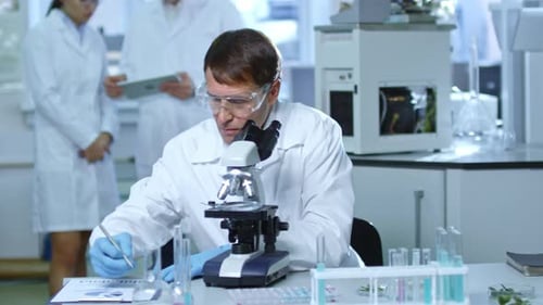 Scientist Inspects Sample with Microscope in Laboratory