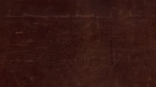 Macro Texture Book Cover