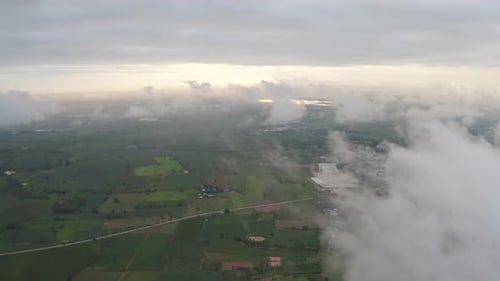 Aerial top view of forest trees with fog mist and green mountain hill