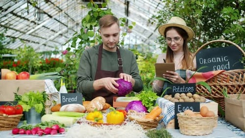 Organically Grown Food at Local Farm Stand