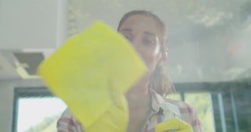 Girl Removing Cleaning Solution From Glass with Special Tool, Cleaning Service.