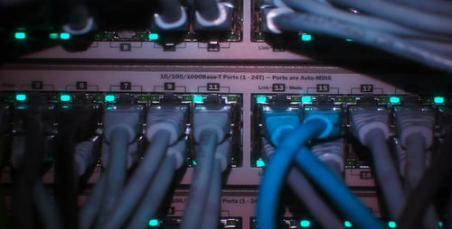 Network Switch Cables with Blinking Green Lights