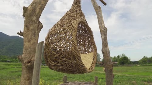 An empty swing with forest trees with mountain hills