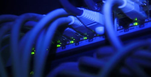 Close Up of Data Center Network Switch