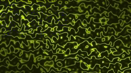 Yellow Topographic Lines Loop Background