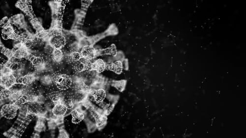 Plexusvirus Version 3