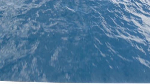 Pod of Dolphins in Freedom Pacific Ocean Blue Water