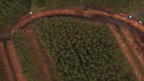 Forestry and logging operations taking place in the highlands of Scotland using large industrial mac