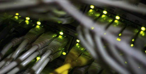 Close Up of Ethernet Cables Plugged Into Server