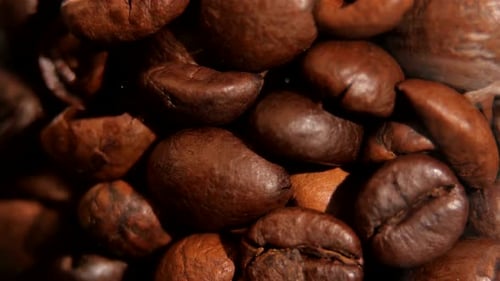 Close Up of Roasted Coffee Beans