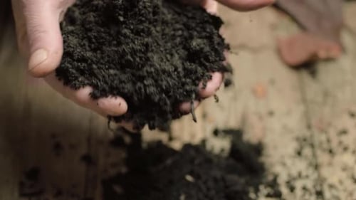 Pair of hands holding rich fertile soil