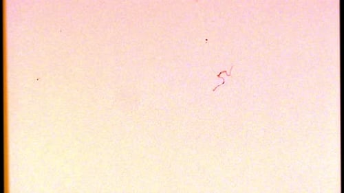 Vintage Film Grain Dust and Scratches Overlay