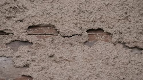 Close Up of Heavily Damaged Wood