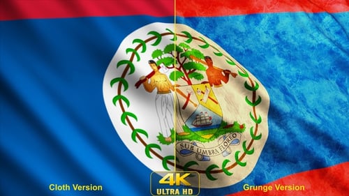Waving Flag of Belize Animation with Clean and Textured Versions