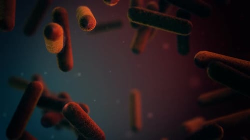 Animated Microorganisms Flowing in Medical Science Background
