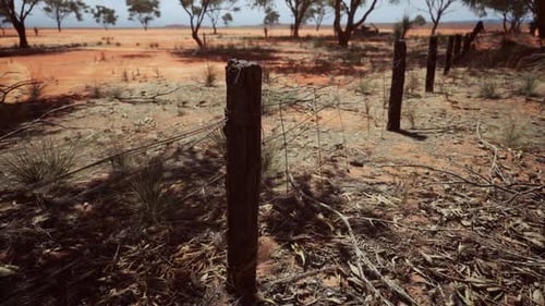 Outback Landscape with Barbed Wire Fence and Scattered Trees