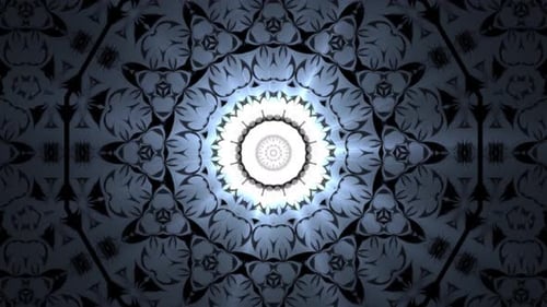 Vj Loop