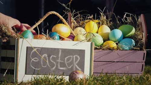 Easter Eggs in Basket on Grass