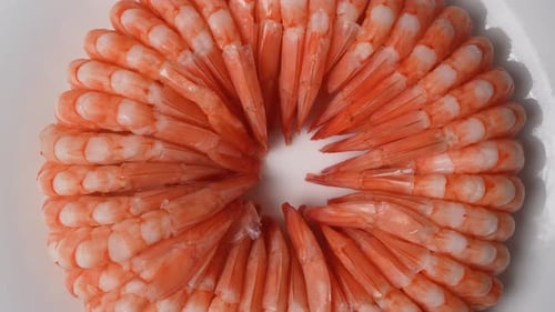 Artistic Circle of Plump Cooked Shrimp on Plate
