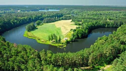 Forest and turn on the river, Zalew Koronowski, Poland