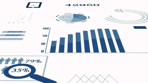Infographics Accounting Customer Data Statistics