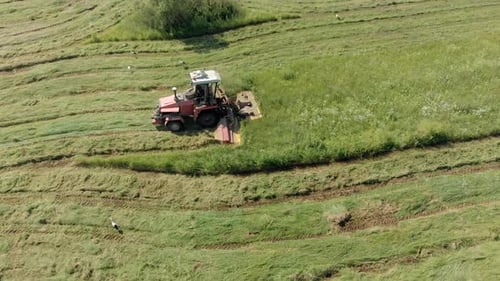 Saisonale Ernte von Silage für Viehfutter auf einer grünen Sommerwiese mit einem modernen Traktor